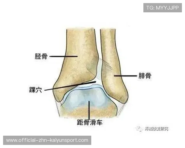 不同地面材质对足踝压力负荷的力学差异
